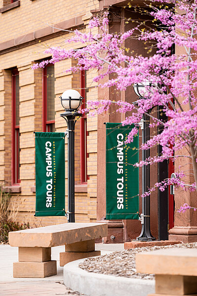 NDSU Cherry Blossoms