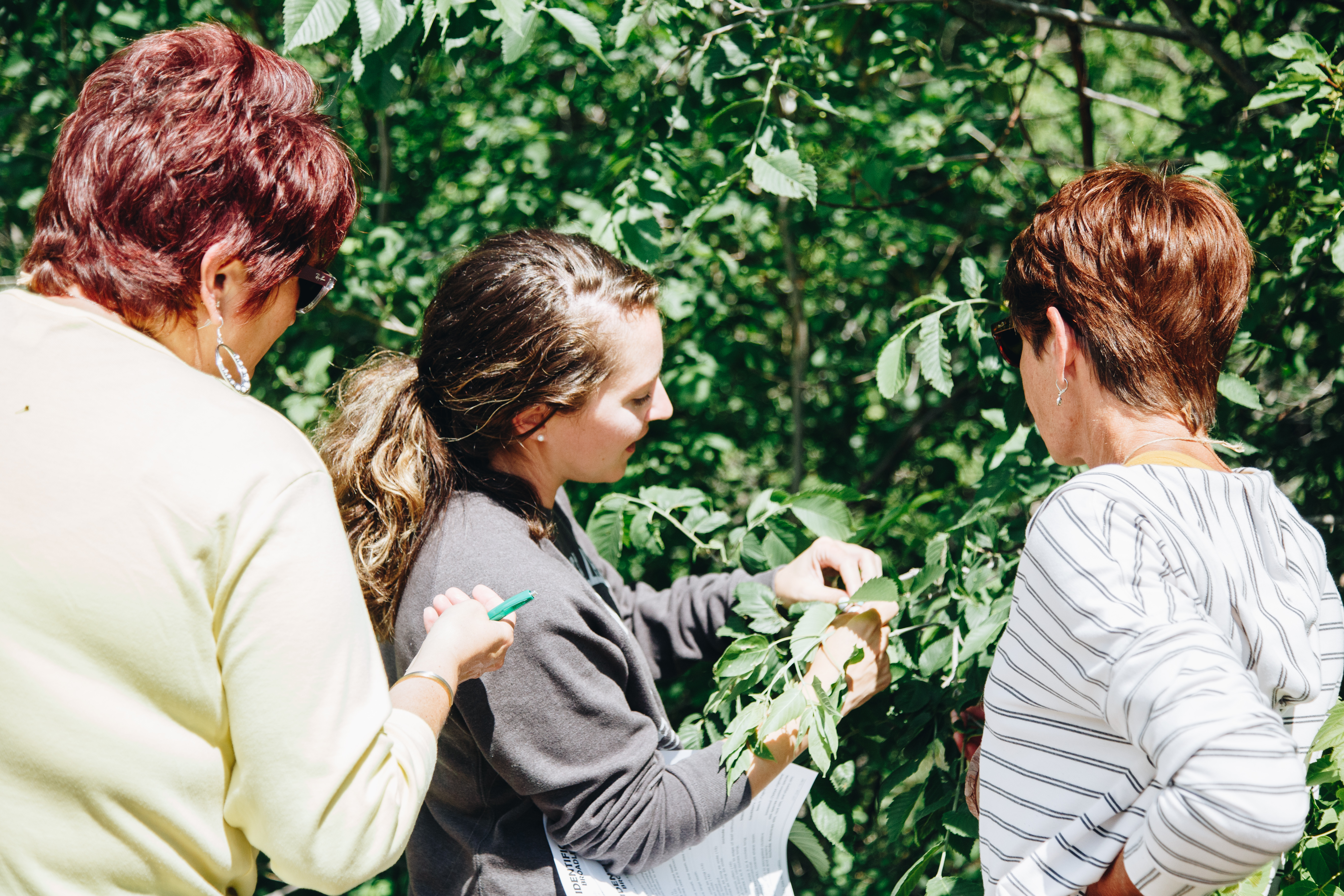 A woman with a ponytail shows two other women how to identify a tree