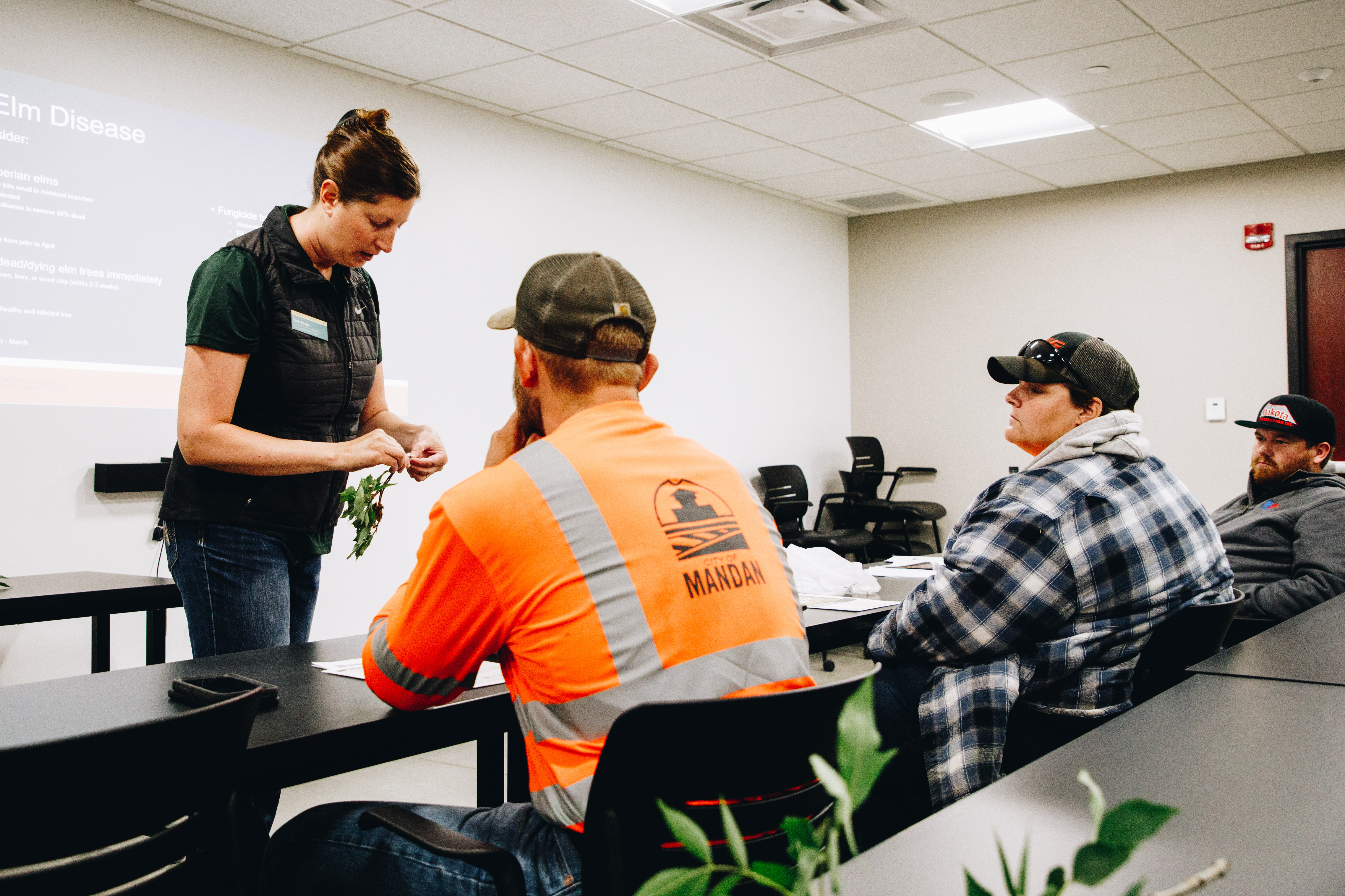 A woman shows two public works employees how to identify Dutch elm disease on a tree branch