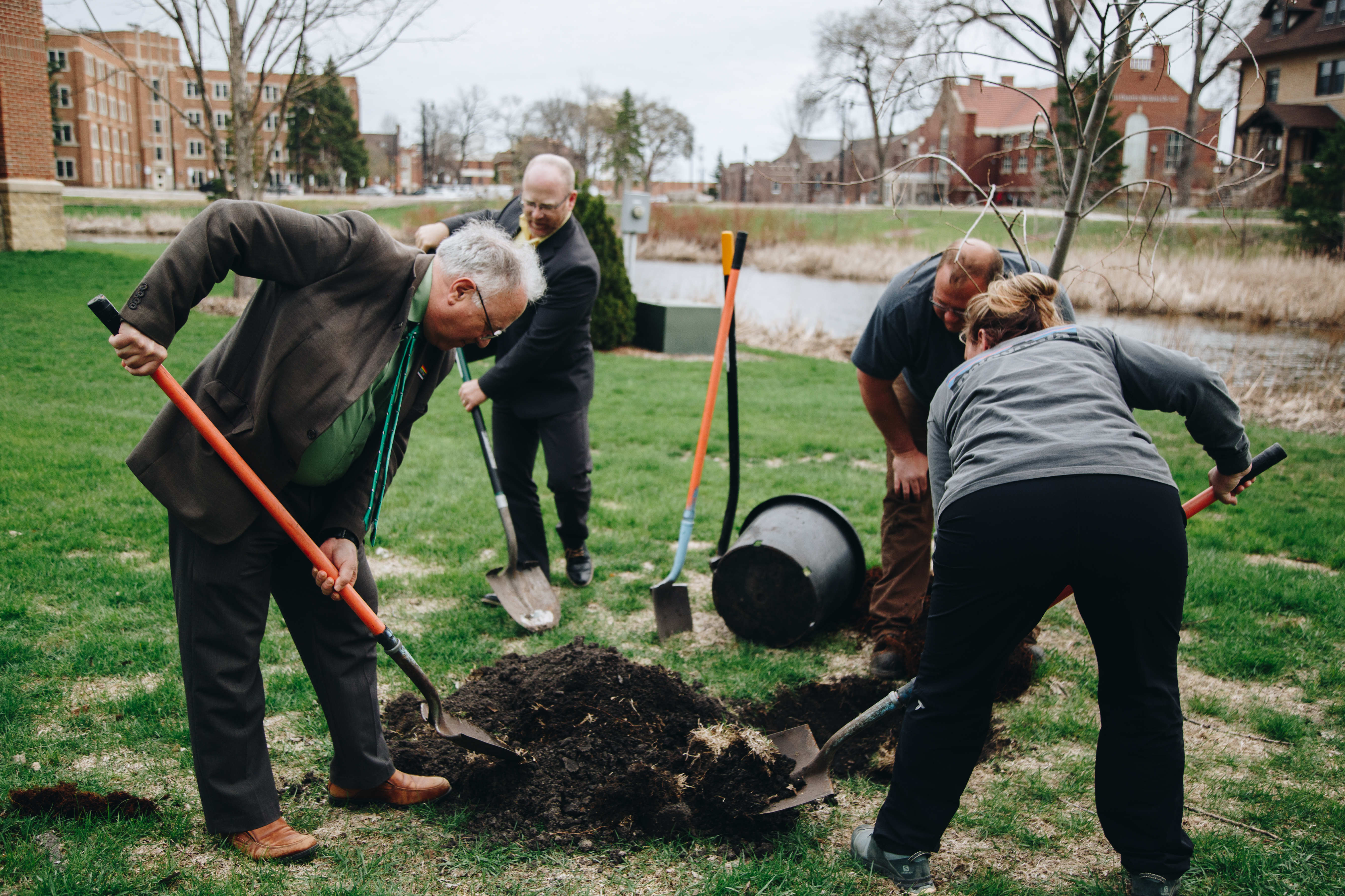 Four people use shovels to dig a hole for a tree planting