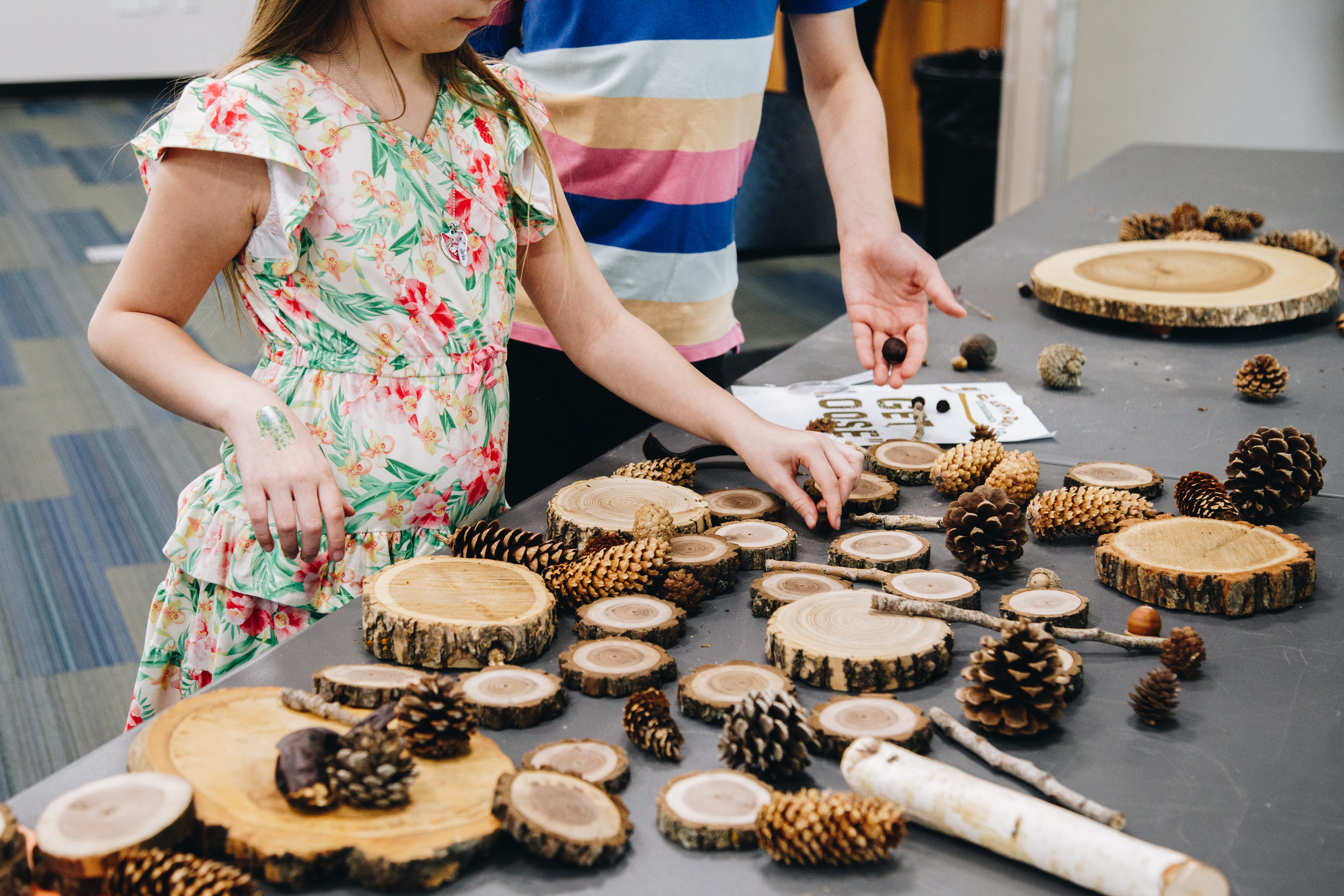 A young girl and boy investigate different tree parts
