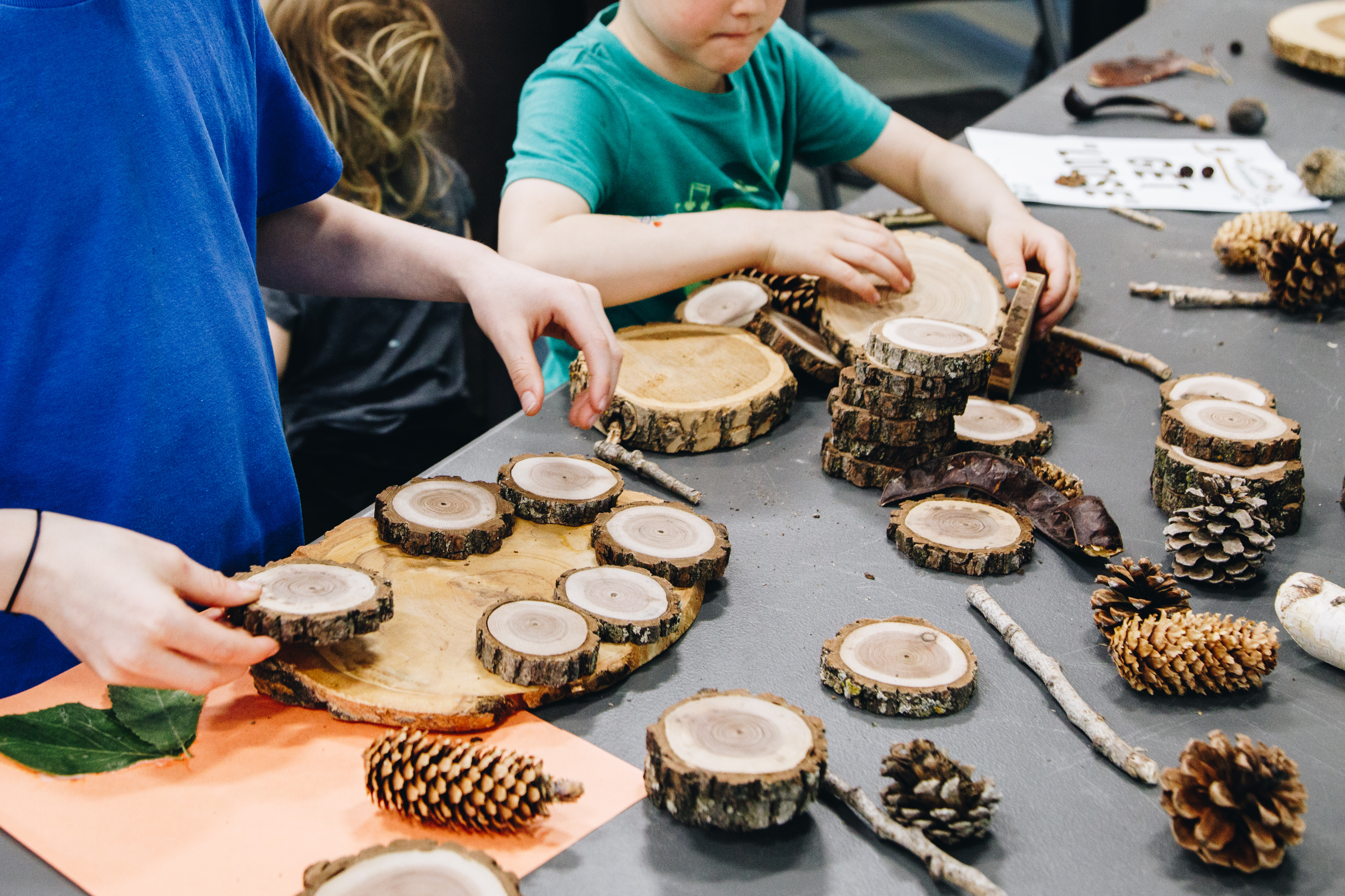 Two students use loose tree parts to play and learn.