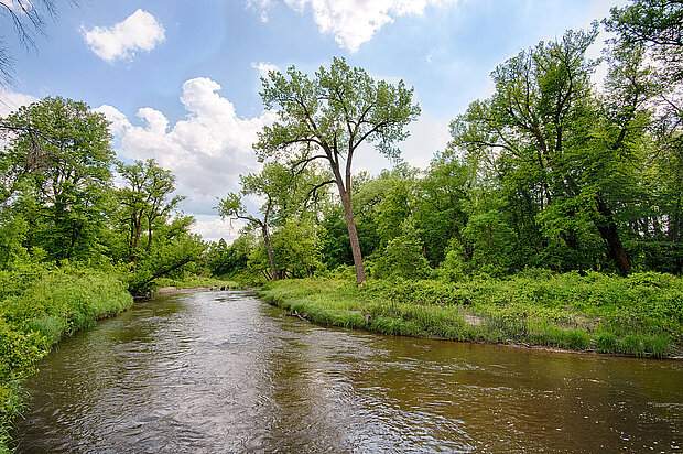 Buffalo River State Park