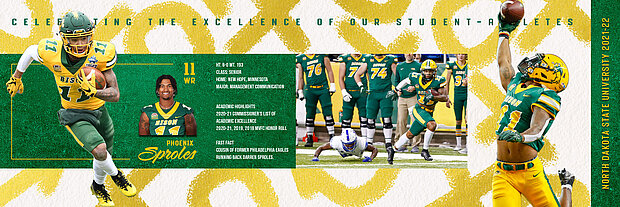 Phoenix Sproles excellence graphic