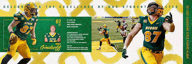 Noah Gindorff excellence graphic