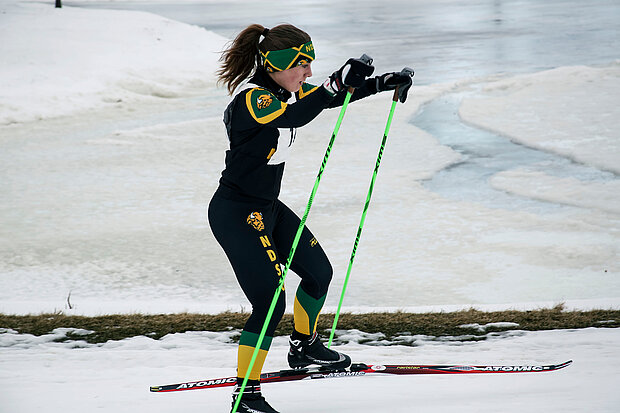 Cross country ski