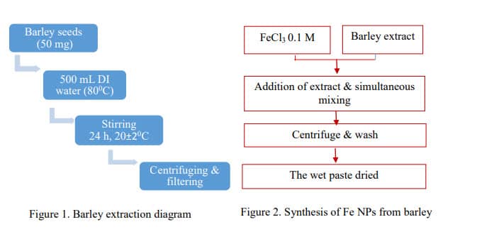 Figure 1. Barley Extraction diagram Figure 2. Synthesis of Fe NPs from barley