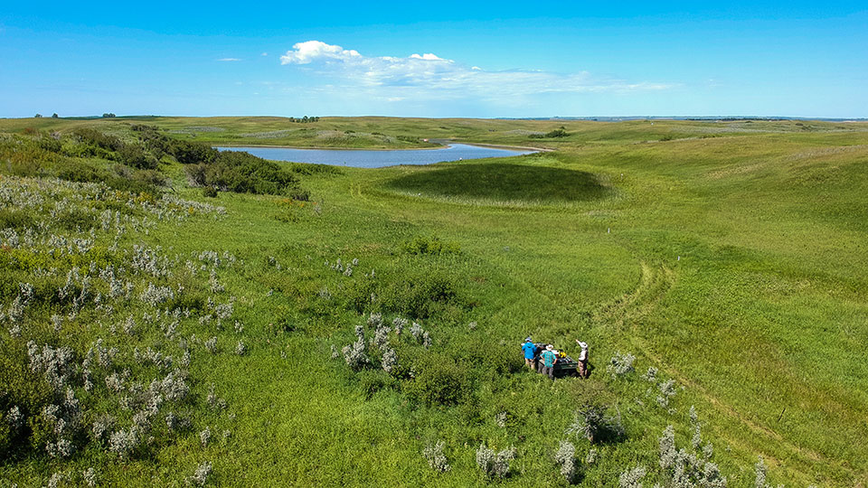 aerial view of the Prairie Pothole wetland region in ND