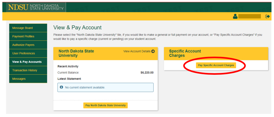 Screen shot of "View & Pay Account" screen with "Pay Specific Account Charges" button circled in red