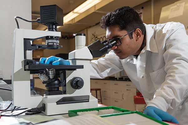 looking through microscope at bone putty sample