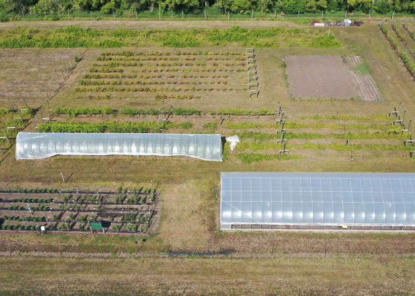 The NDSU Horticulture Research Farm and Arboretum located between Absaraka and Amenia, North Dakota