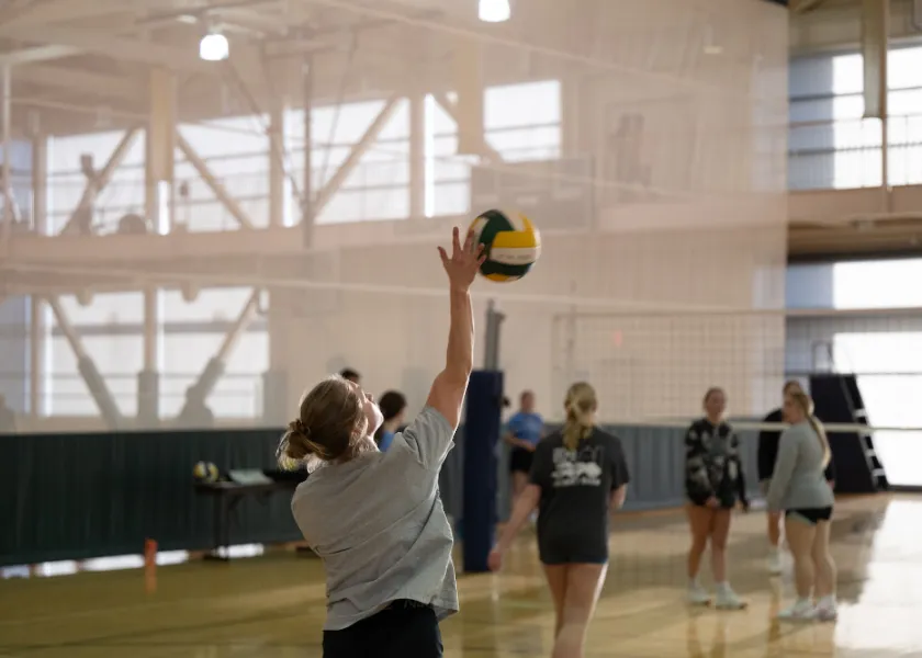 people playing volleyball