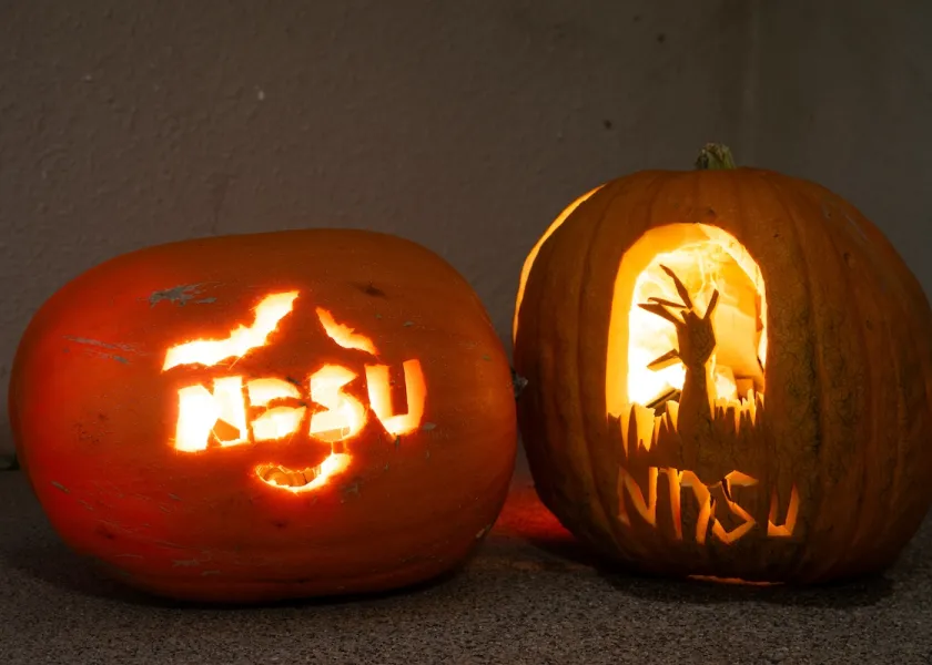Photos of pumpkins carved with NDSU stencils