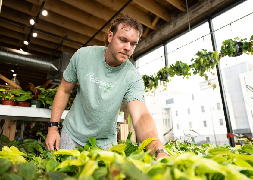business owner graduate working at his plant store