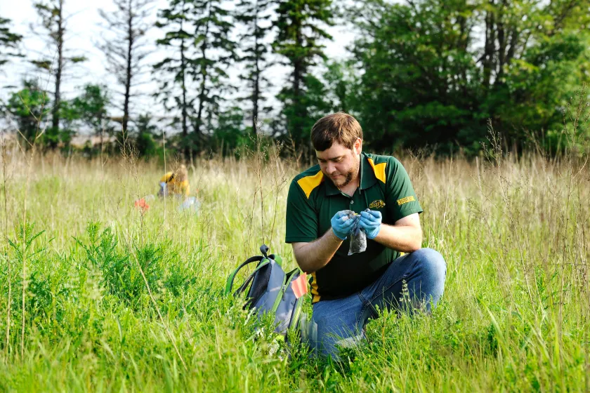 gradudate students collecting samples in a grassy field