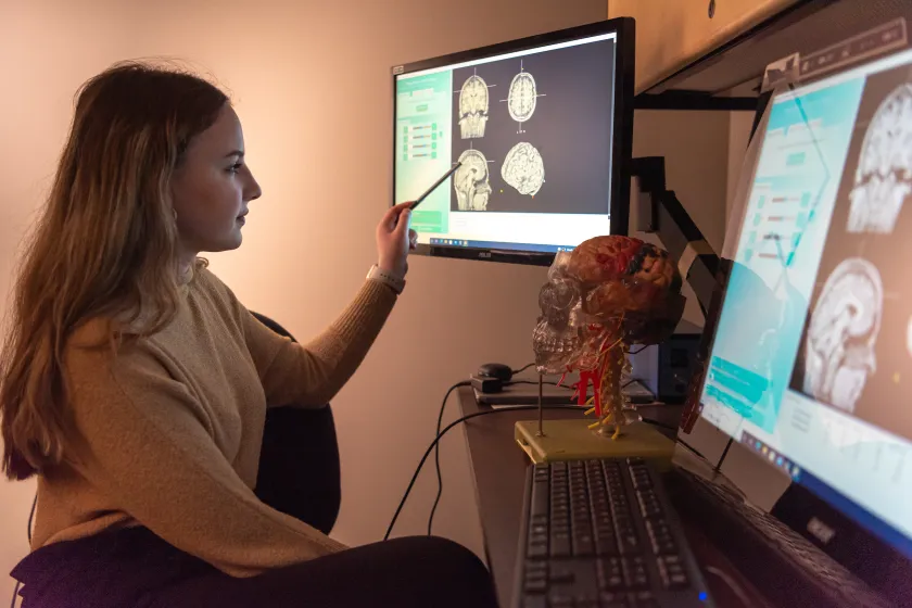 student studying scans of a human brain