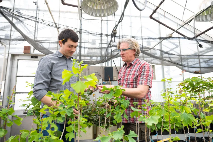 professor and student looking at plants in a green house