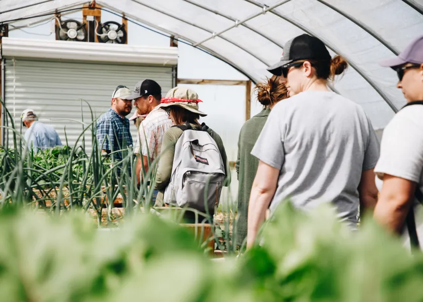 A group of people look at vegetables planted in raised gardening beds in a hoop house