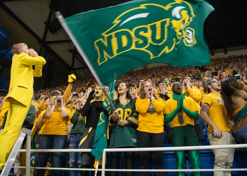 NDSU flag waving in crowd at football game.