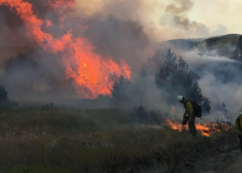 A firefighter burns a buffer line to prevent a fire froms spreading