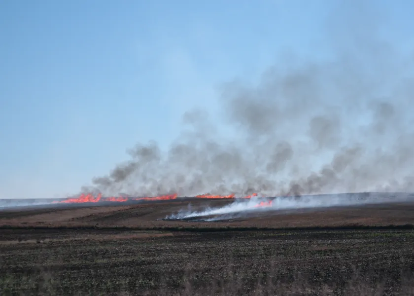 Fires burning in a harvested field