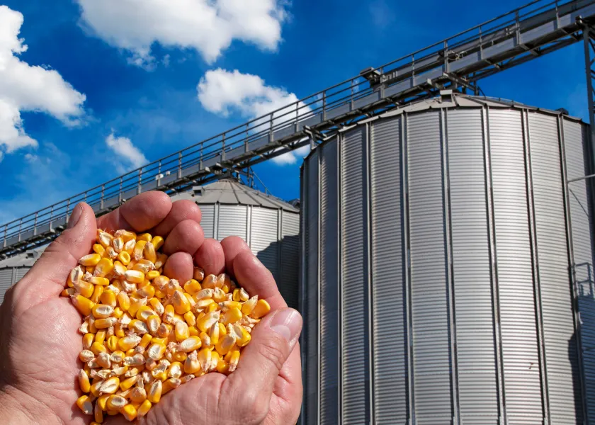A farmer holds corn while standing in front of grain elevators. 