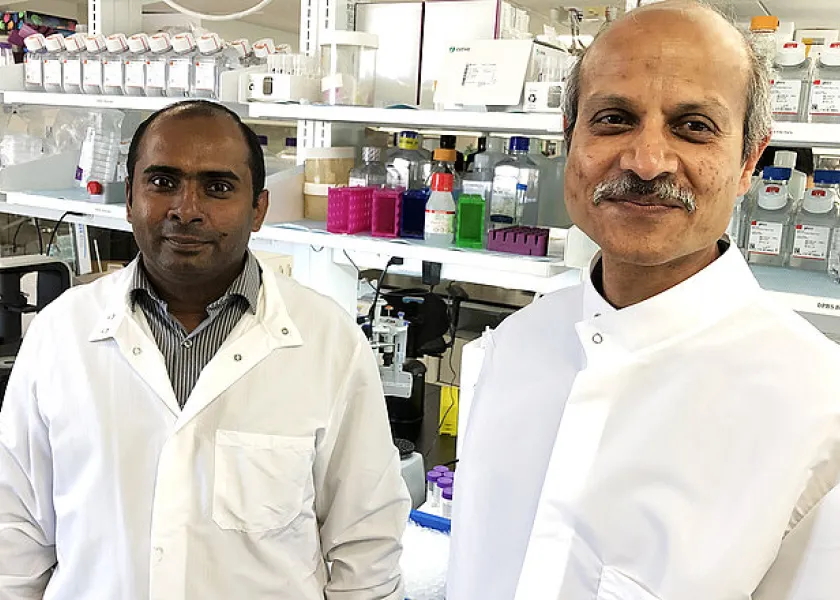 Sathish Venkatachalem and Sanku Mallik of the NDSU Center for Diagnostic and Therapeutic Strategies in Pancreatic Cancer