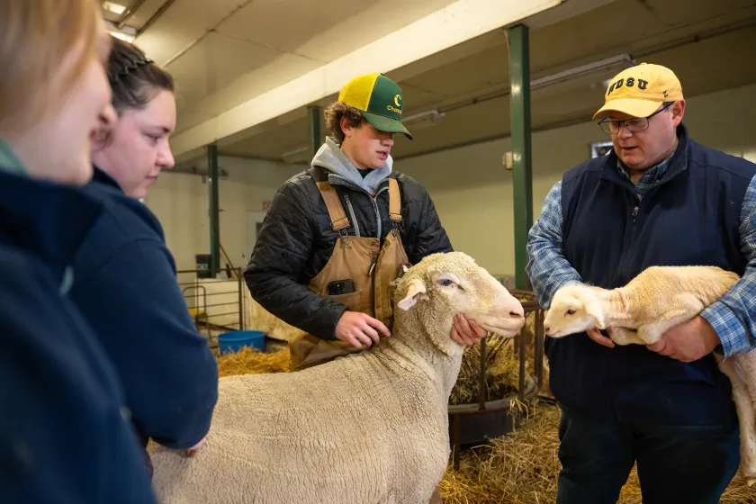 students and professor attending to sheep