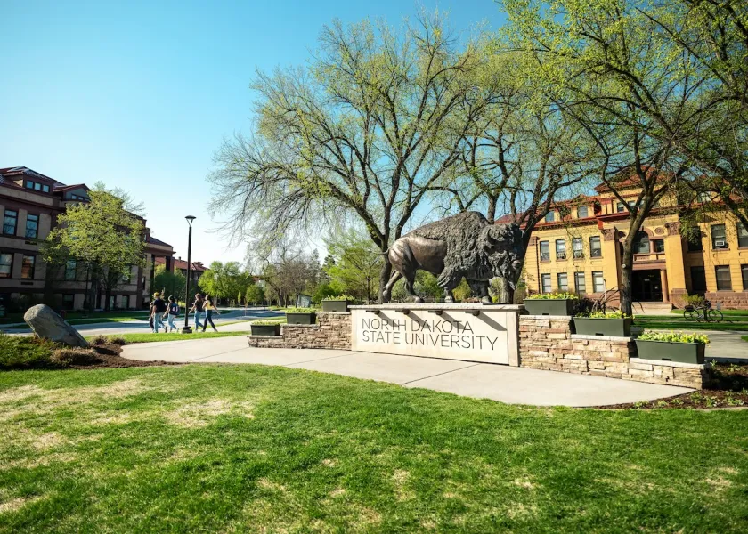 The Bison statue at the entrance to NDSU.