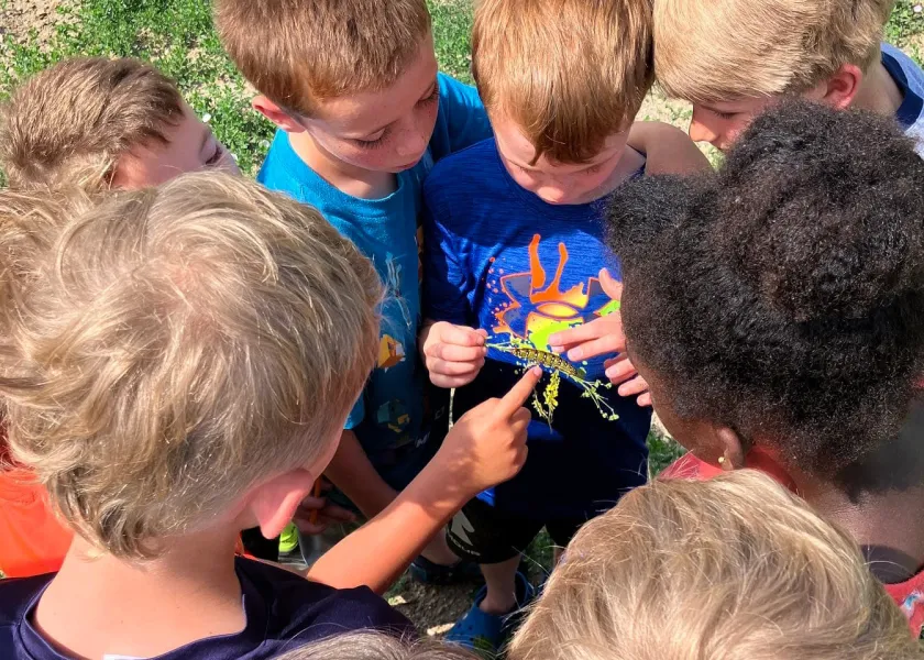 A group of children look at a caterpillar