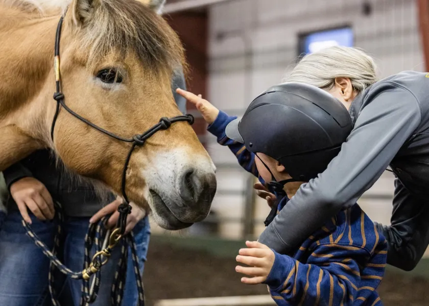 A child petting a horse at Bison Strides.