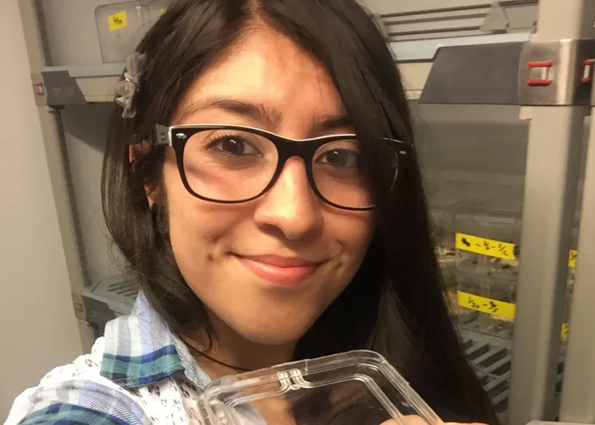 A scientist showing off beetles.