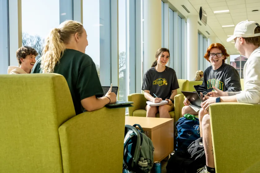 Students studying in lounge