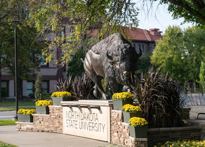 Bison statue on NDSU campus.