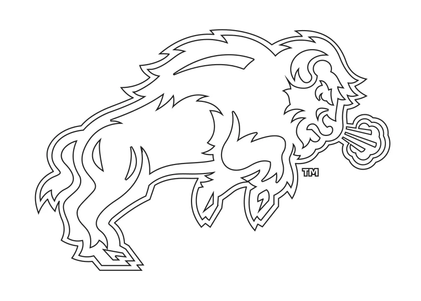 Bison full body coloring sheet preview
