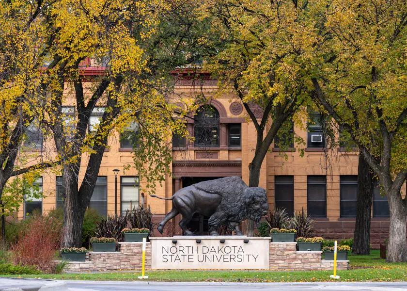 NDSU's Bison statue on campus.