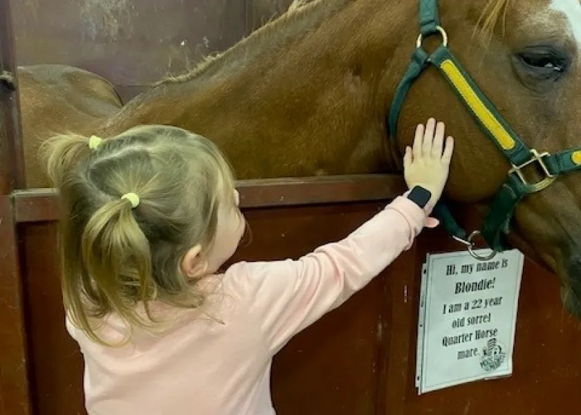 Little girl petting a horse