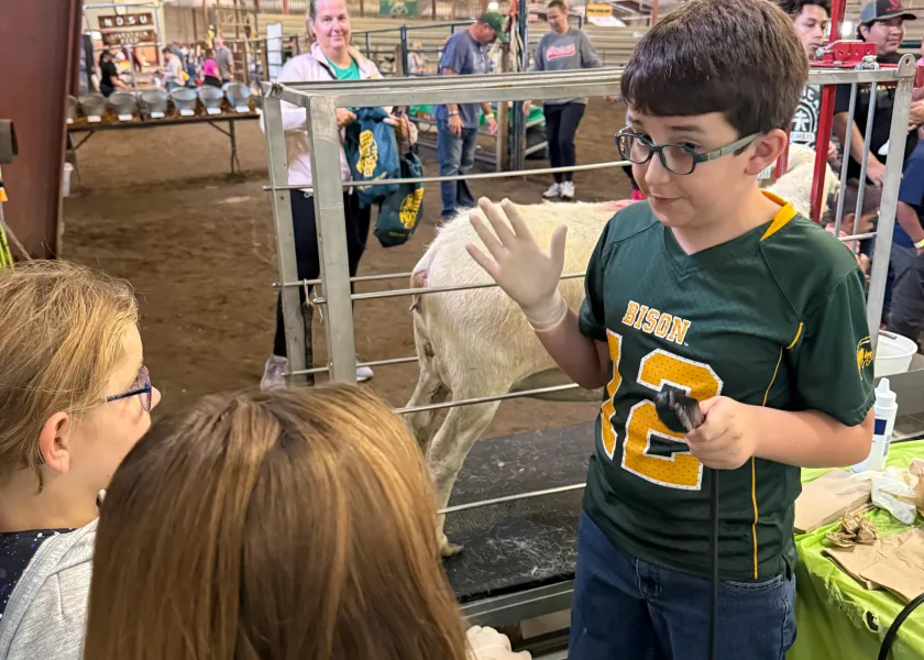 Young boy explaining to a group of people