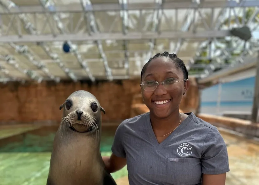 Pheafrisia Strachan, and NDSU alum in veterinary technology now works as a certified veterinary technician and assistant at Dolphin Cay at Atlantis Bahamas.