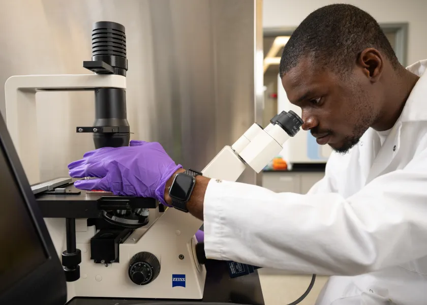 An NDSU student researcher looks through a microscope in a lab.