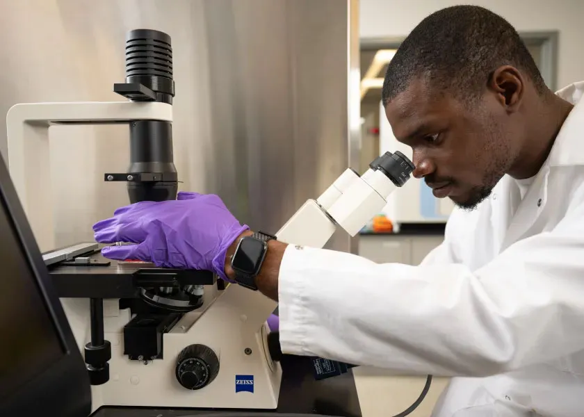 A researcher in a lab looks through a microscope.