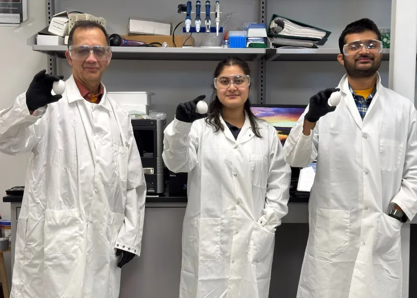 NDSU professor Achintya Bezbaruah and his research team stand in his lab while holding up eggs to the camera.