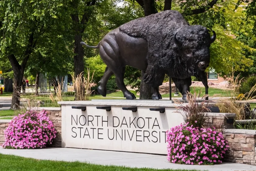 NDSU Bison Statue