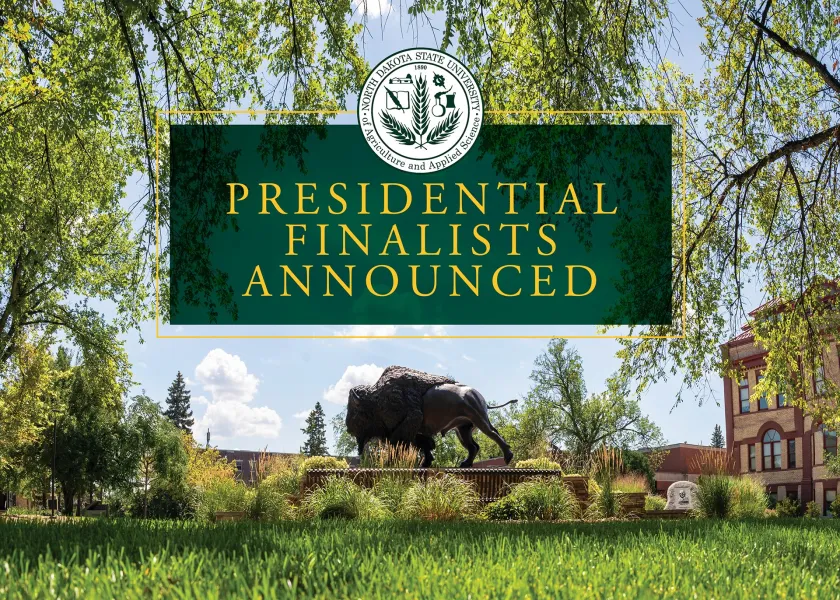 A graphic of the Bison Statue on NDSU's campus.