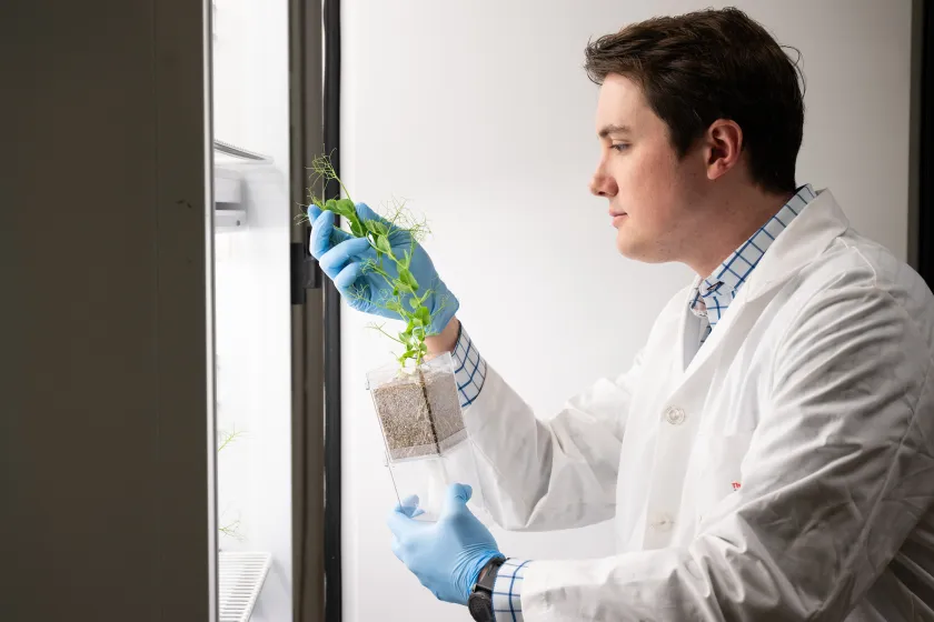 microbiology student works with a plant speciment in the lab