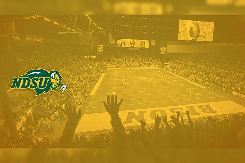 preview graphic of the Football crowd desktop wallpaper