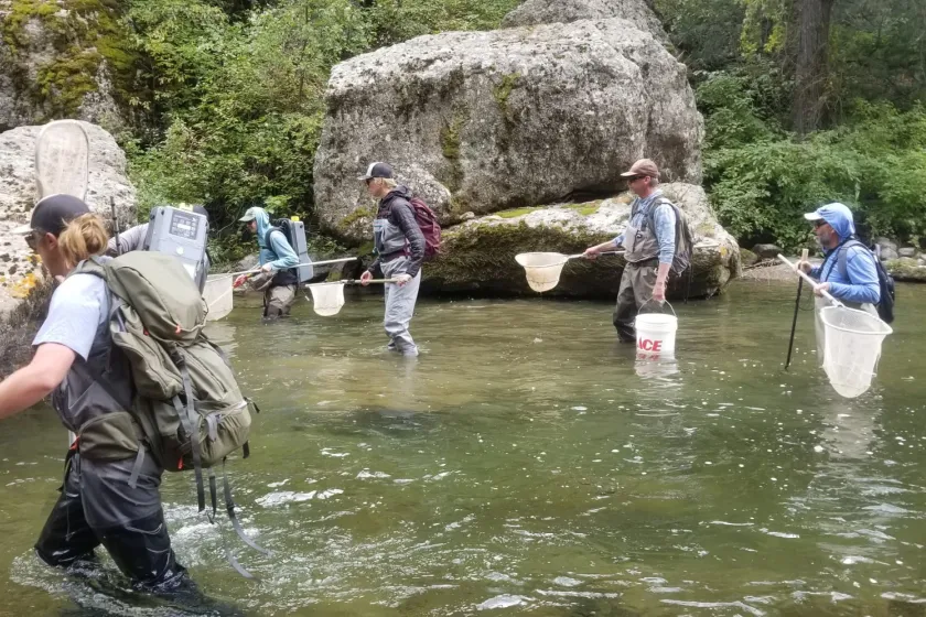 Several people wade through water while conducting research.