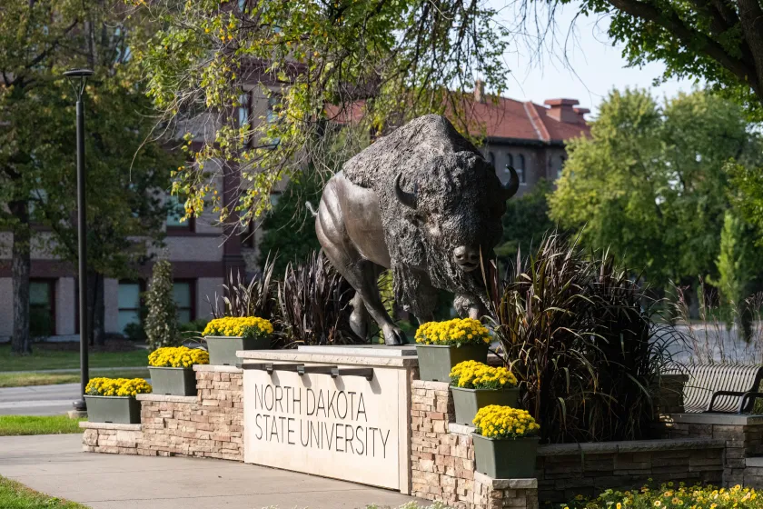 NDSU's Bison Statue 