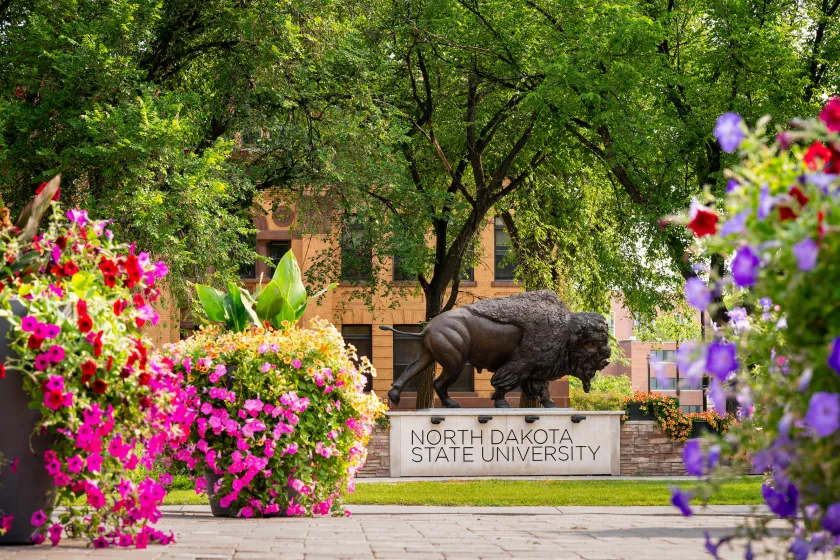 Bison statue surrounded by flowers. 