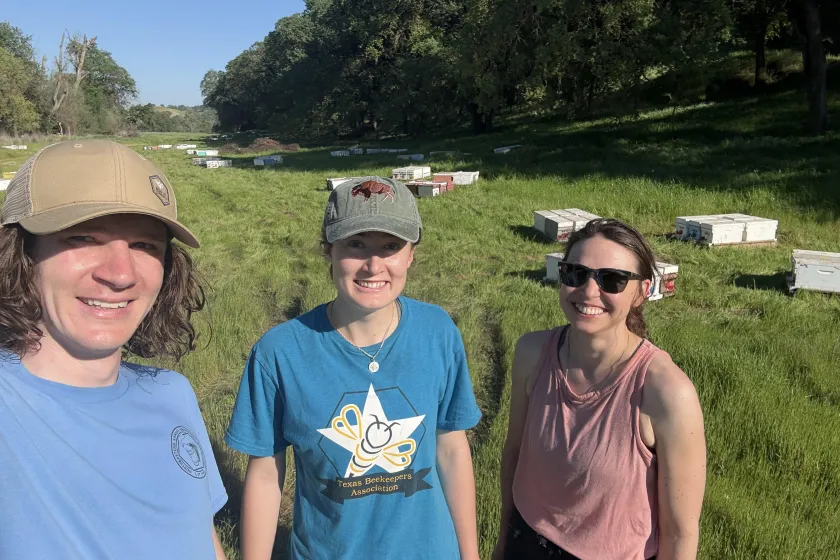 Three beekeepers outdoors with multiple hives